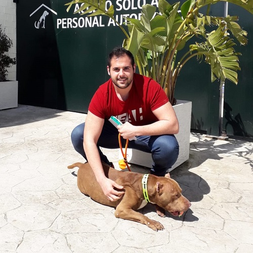 ¡Hamid adoptado!