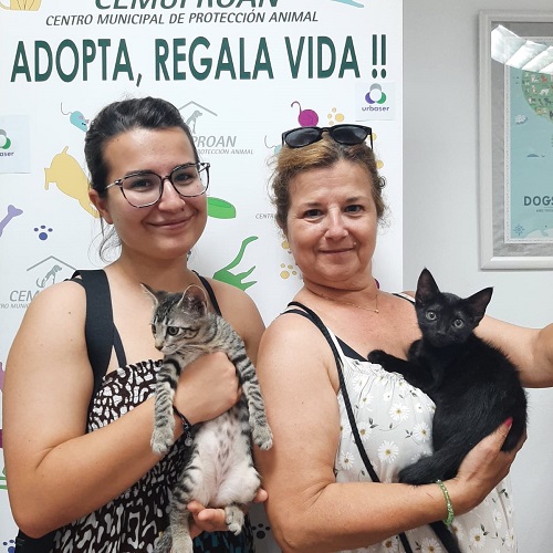 ¡Hanko y Masha adoptados!