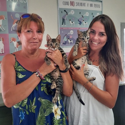 ¡Hazel y Milko adoptados!