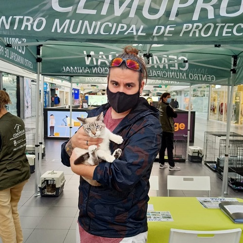 ¡Hensen adoptado!