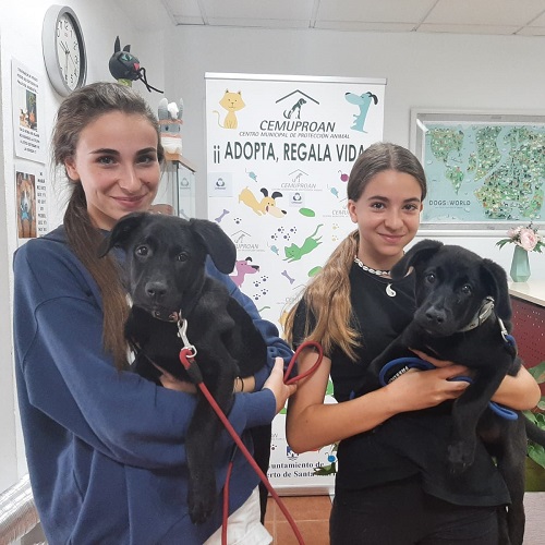 ¡Horatio y Valeria adoptados!
