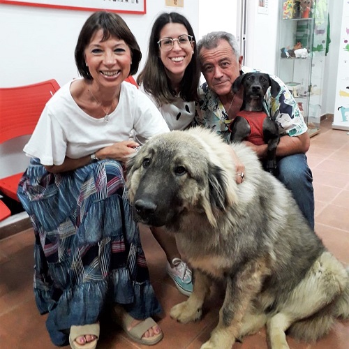 ¡Hovik adoptado!