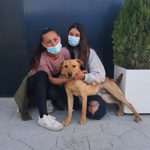 ¡Hubert adoptado!