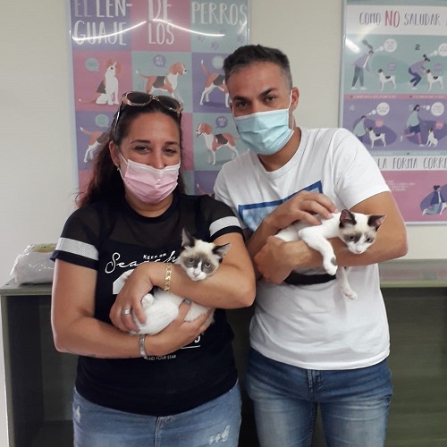 ¡Ibis y Zaya adoptadas!