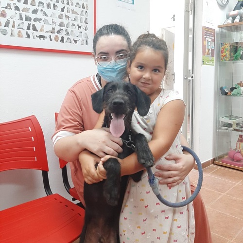 ¡Imperio adoptado!