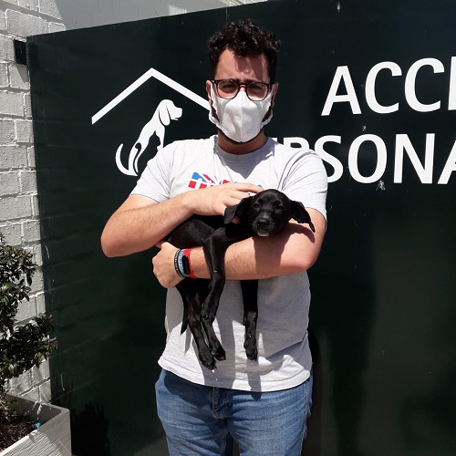 ¡Indiana adoptada!