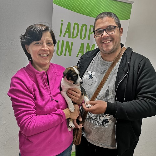 ¡Java adoptada!