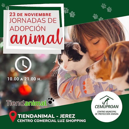 Adoption day at Tiendanimal Jerez