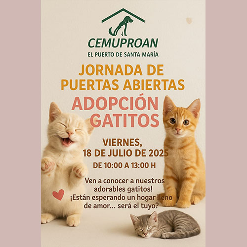 Jornada de Puertas Abiertas