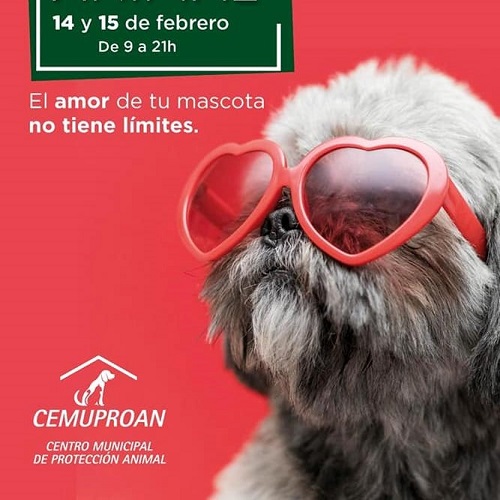 Adoption days at CC El Paseo