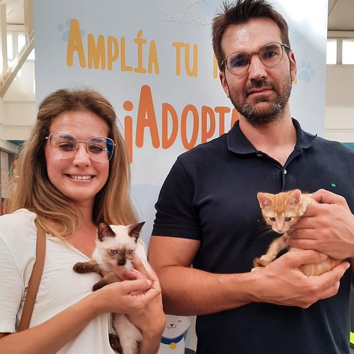 ¡Juji y Fino adoptados!