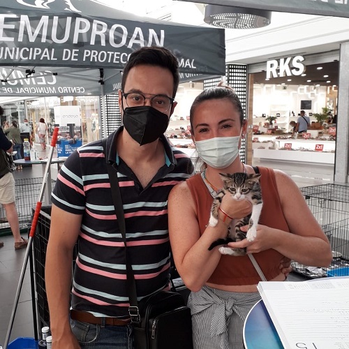 ¡Jumilla adoptada!