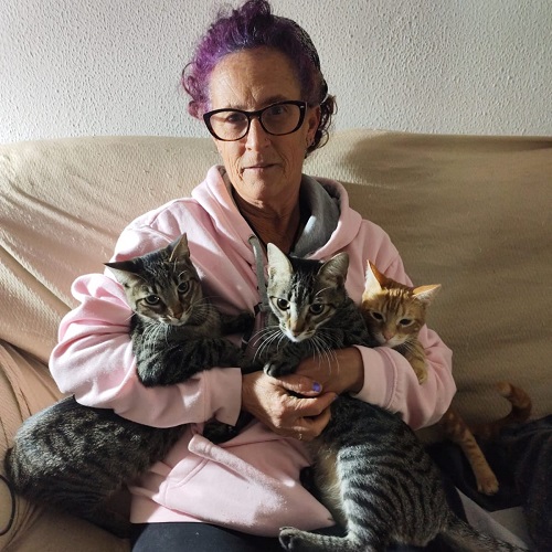 ¡Kaladan, Keeva y Verity adoptados!