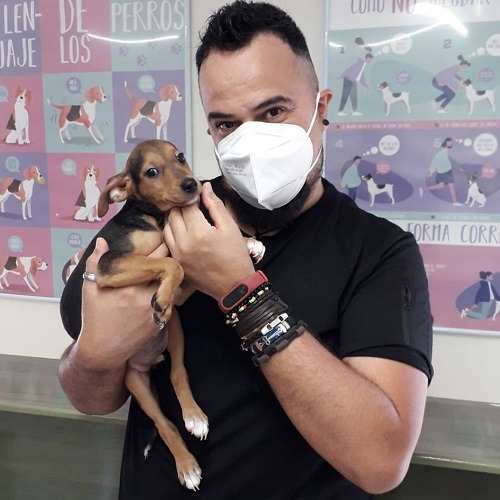 ¡Kamon adoptado!
