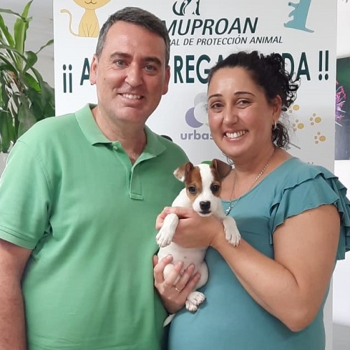 ¡Kefta adoptada!