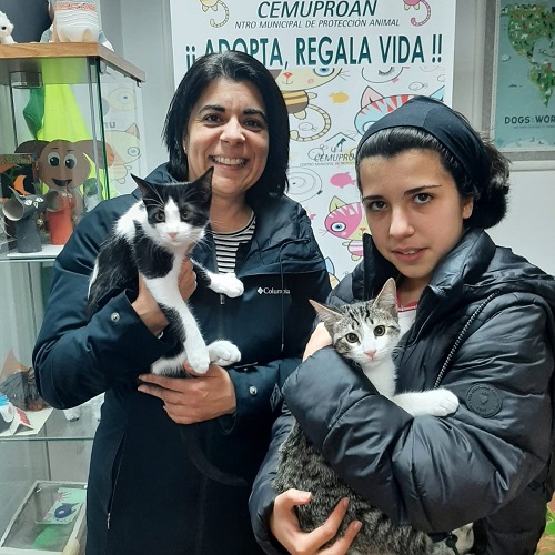 ¡Kemi y Carolo adoptados!
