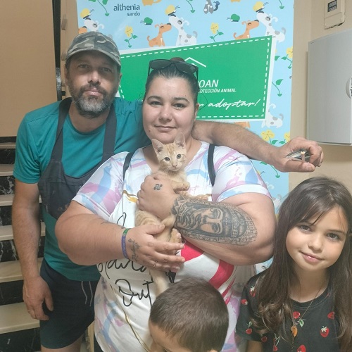 ¡Kimi adoptado!