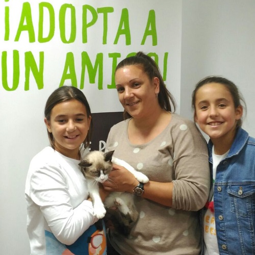 ¡Koda adoptado!