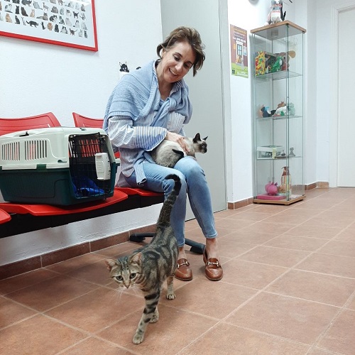¡Kory y Yen adoptados!