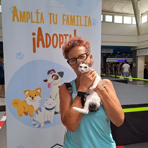 ¡Kotecha adoptada!