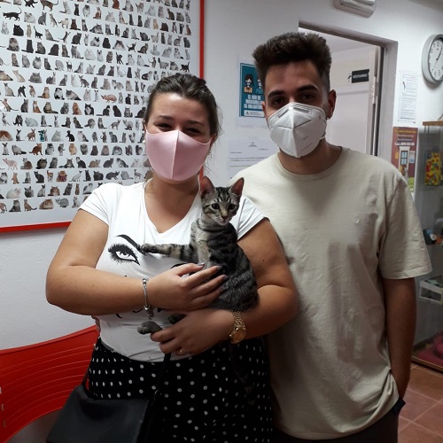 ¡Krilin adoptado!