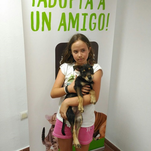 ¡Layla adoptada!