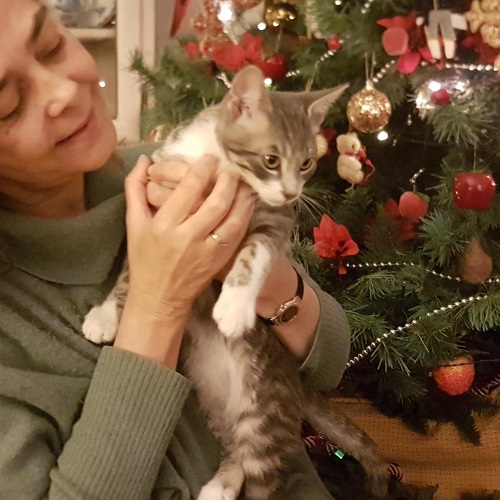 ¡Lekko adoptado!