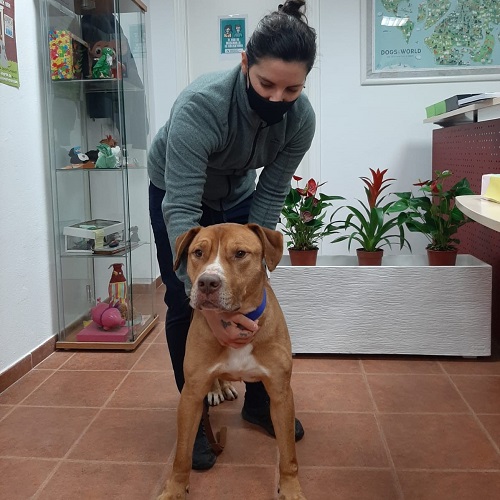 ¡Líbano adoptado!