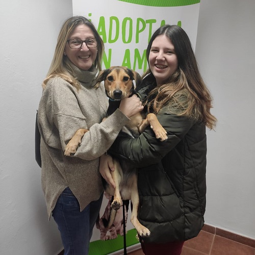 ¡Lona adoptada!