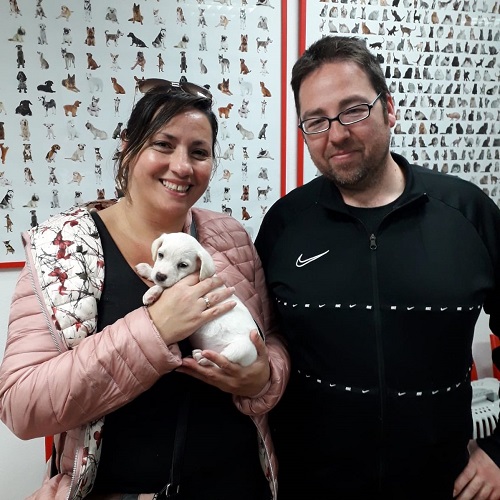¡Looni adoptado!