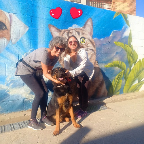 ¡Lucca adoptada!