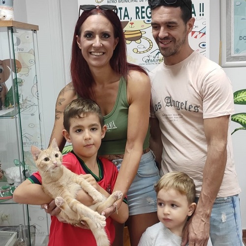 ¡Lucier adoptado!