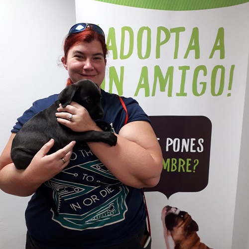 ¡Lupín adoptado!