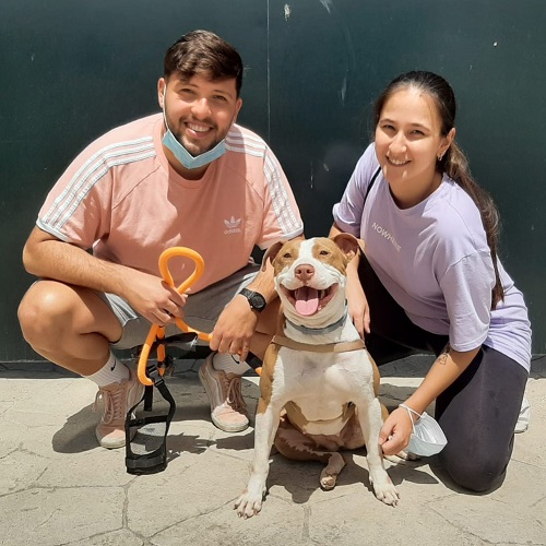 ¡Malibú adoptada!