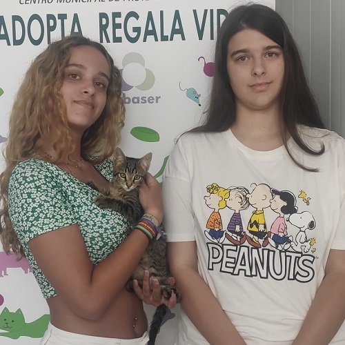 ¡Manassa adoptada!