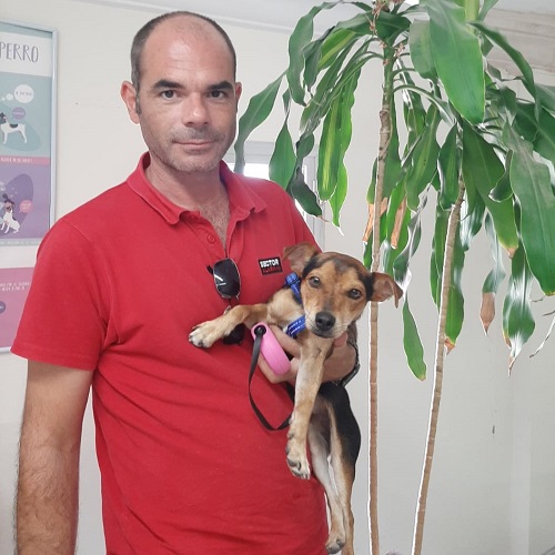 ¡Manchego adoptado!