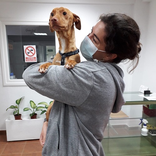 ¡Mani adoptado!