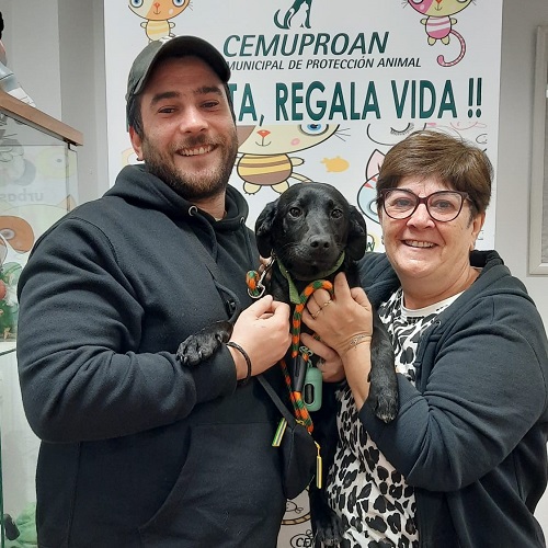 ¡Maracaibo adoptado!