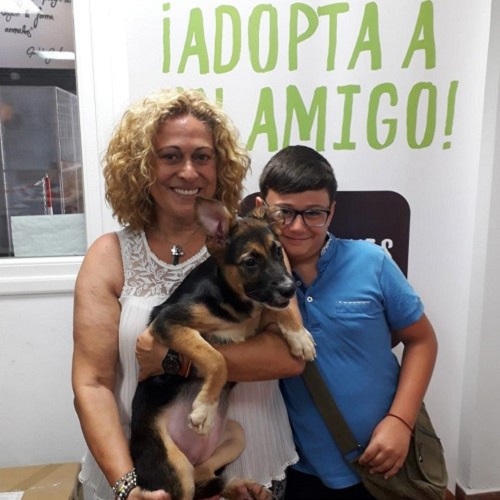 ¡Marán adoptado!