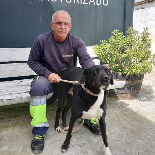 Margarito adopted!