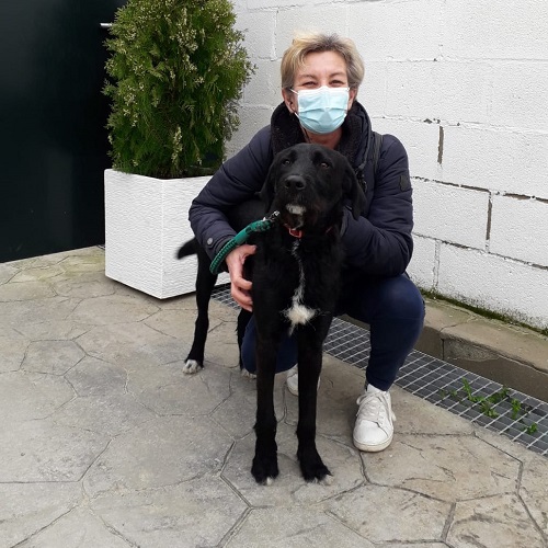 ¡Mariolo adoptado!