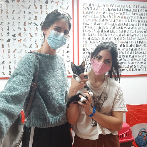 ¡Marisma 7 adoptada!