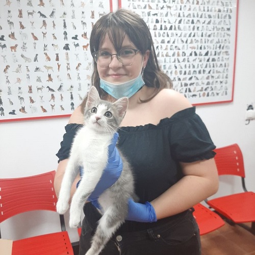 ¡Marvel adoptado!