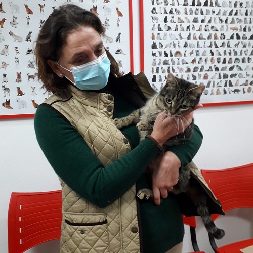 ¡Masai adoptado!