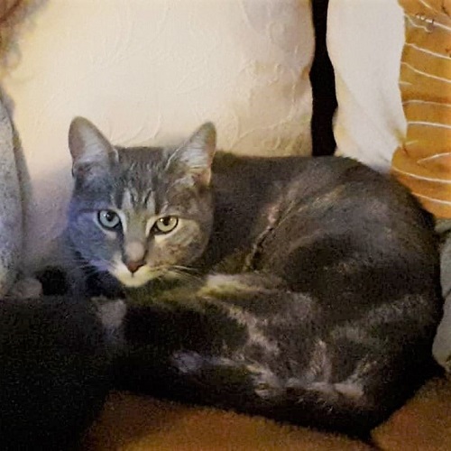 ¡Matilda adoptada!