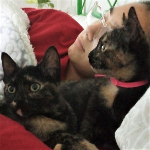 ¡Mazama y Bisbita adoptadas!