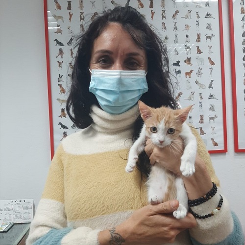 ¡Mela adoptada!