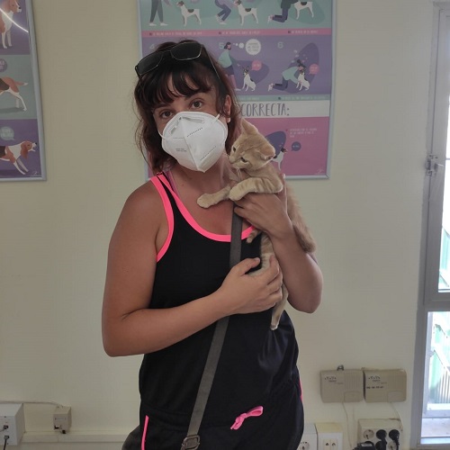 ¡Melo adoptado!