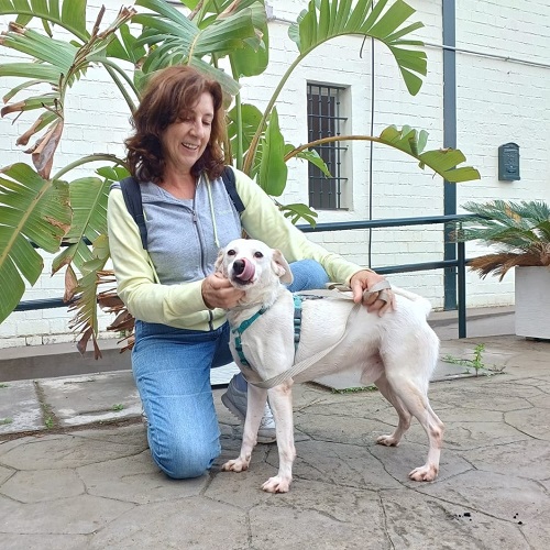 ¡Mendel adoptado!
