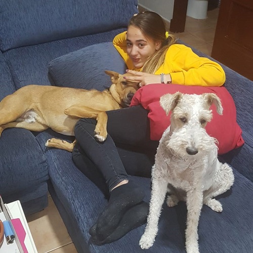 ¡Merlo adoptado!